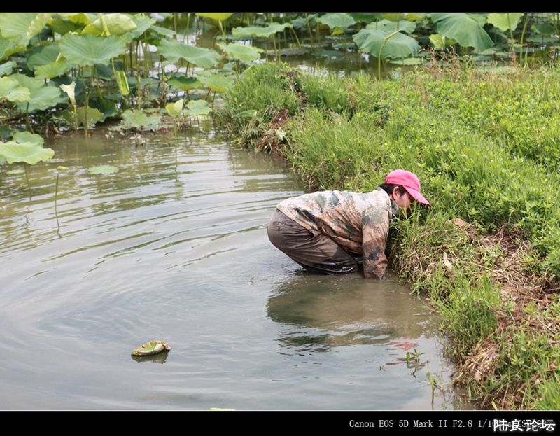 ��  ��   (28).jpg