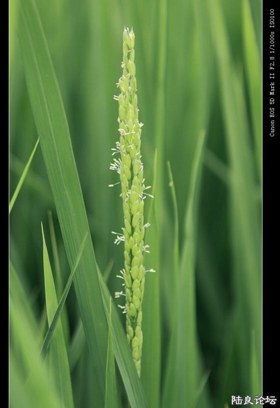 ��  ��   (30).jpg