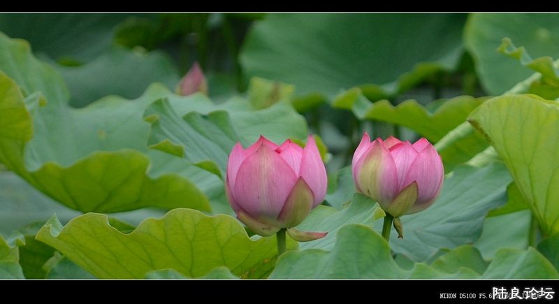 ��  ��   (31).jpg