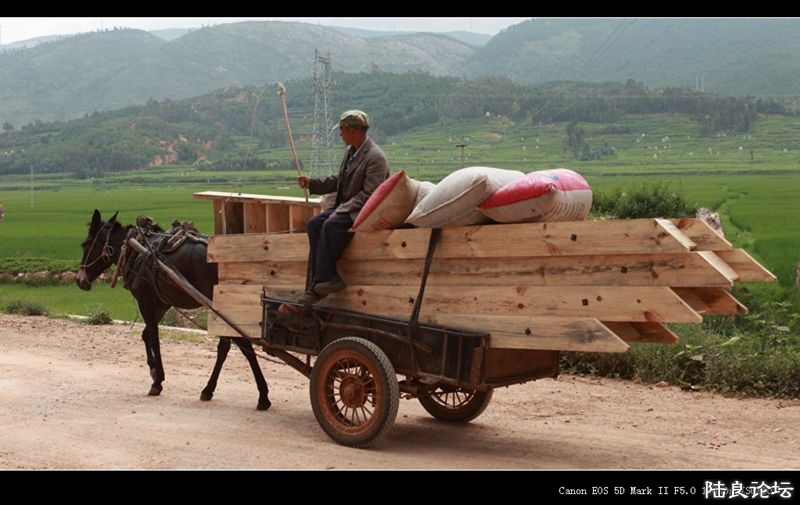 ��  ��   (41).jpg