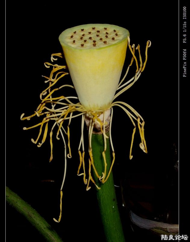 ��  ��   (43).jpg