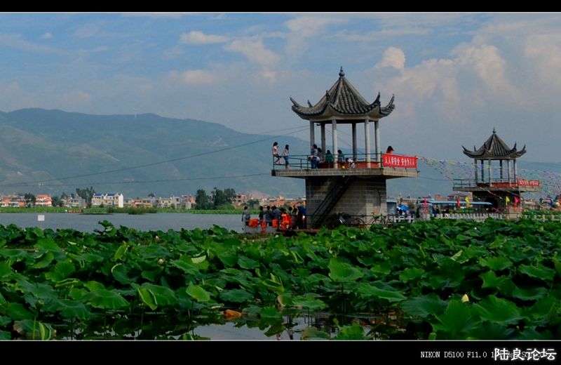 ��  ��   (45).jpg