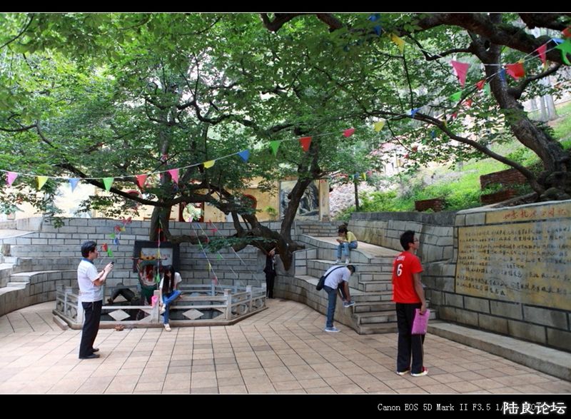 ��  ��   (51).jpg