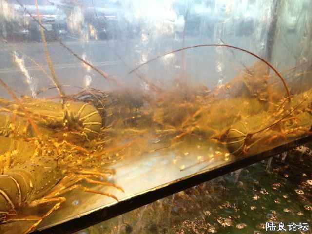 2013-08-01 20.05.59.jpg