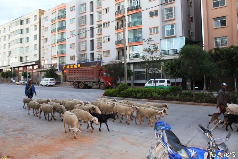 IMG_2661 - ����.JPG