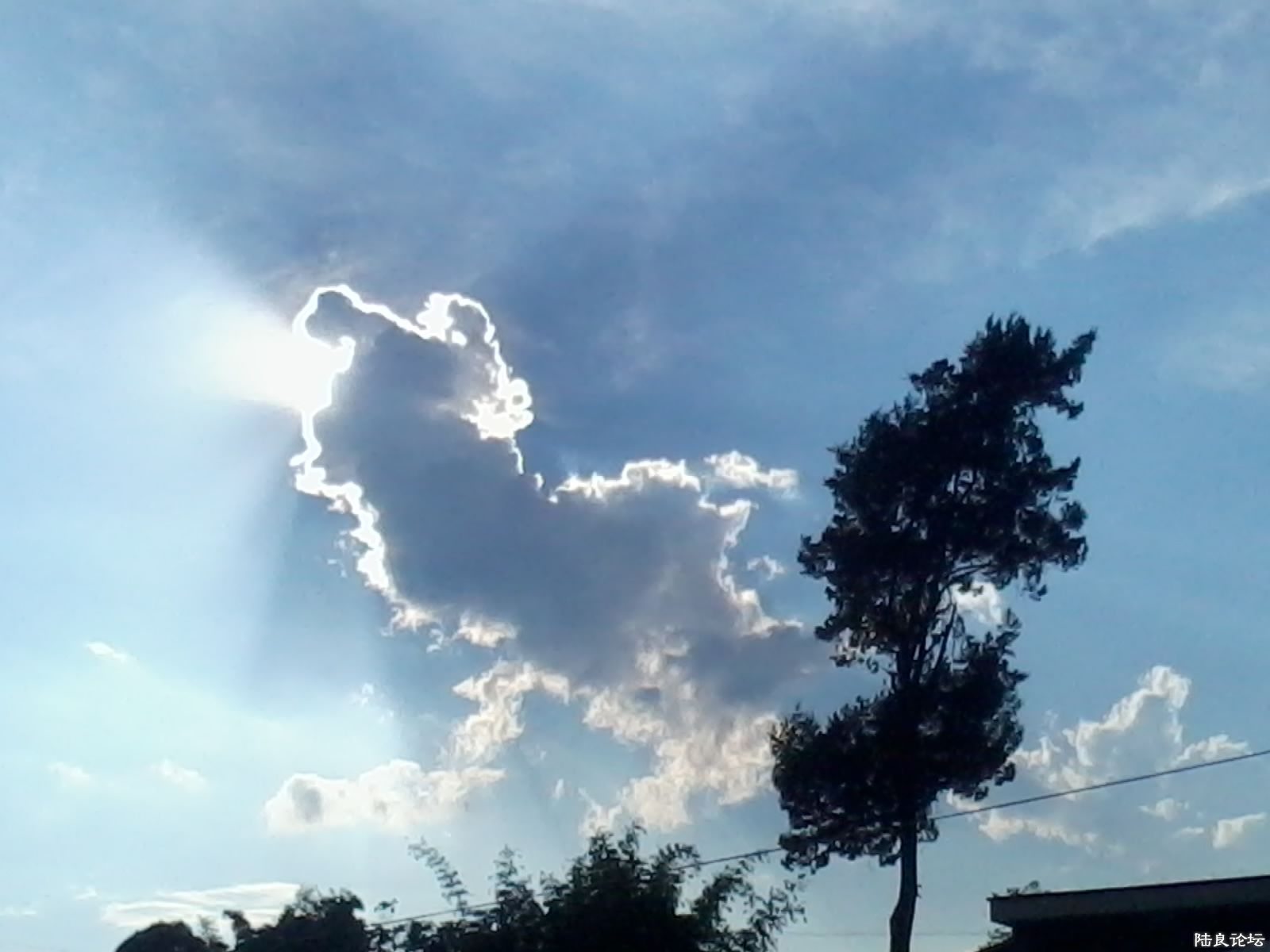 2013-08-06 18.09.21.jpg