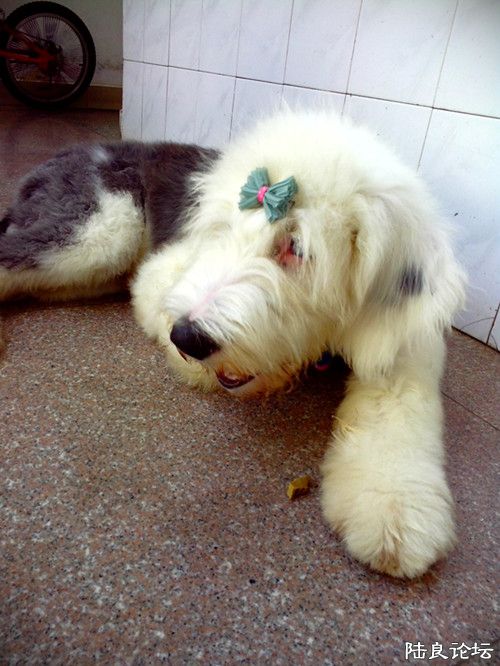 ��  ˭����.jpg