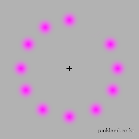 �������Ŀ�