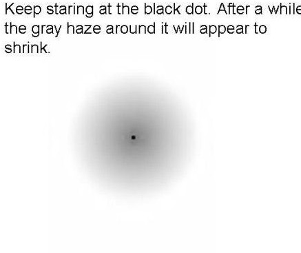 ����Բ�㿴