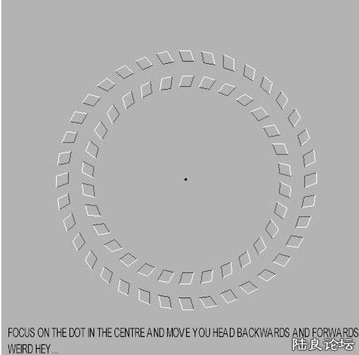 ��������ǰ���ƶ�