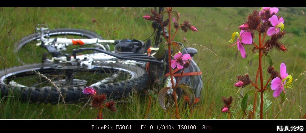 20130829���� (1).JPG