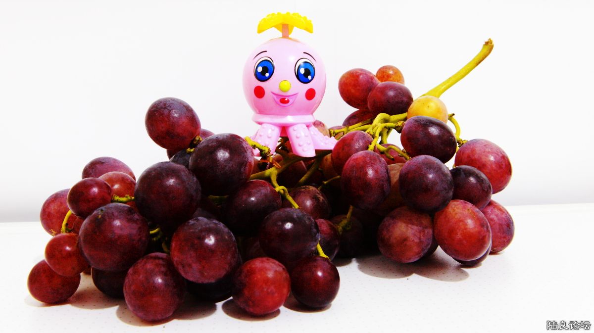 ���� (2).JPG