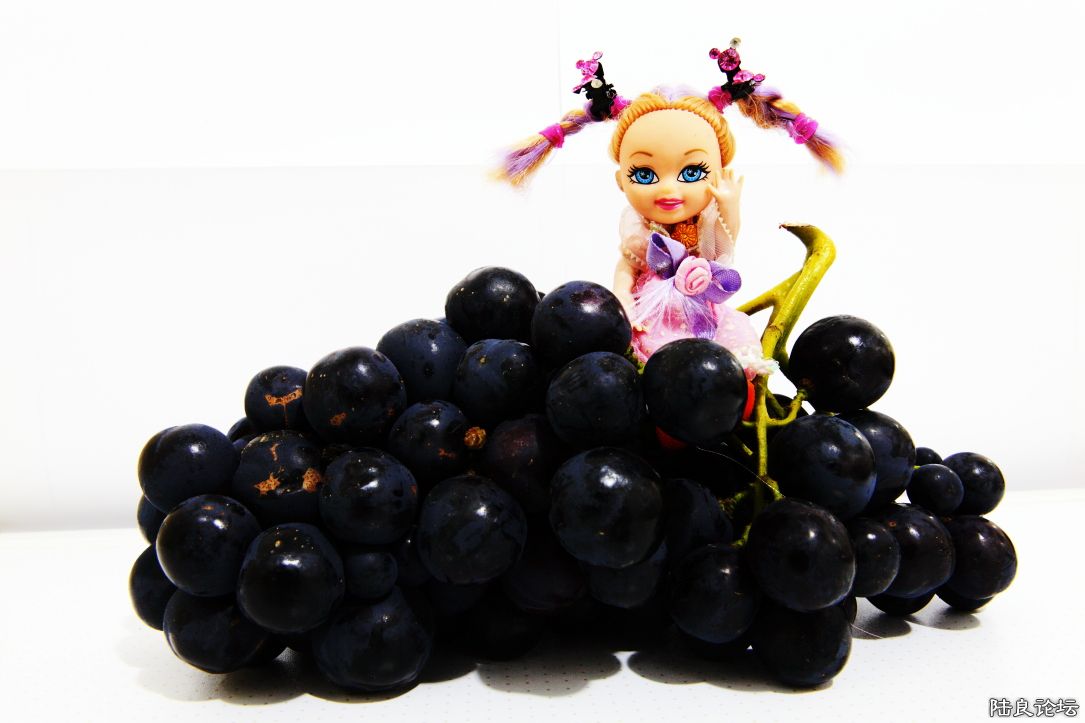 ���� (3).JPG