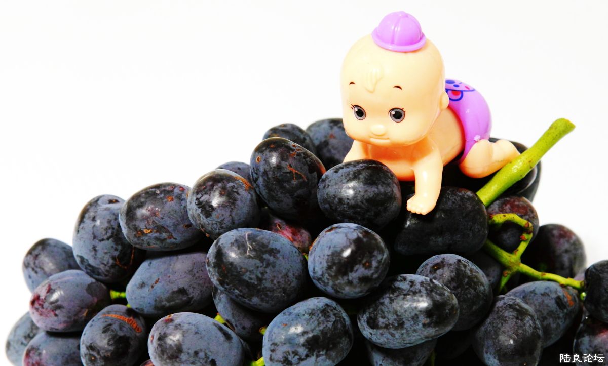 ���� (4).JPG