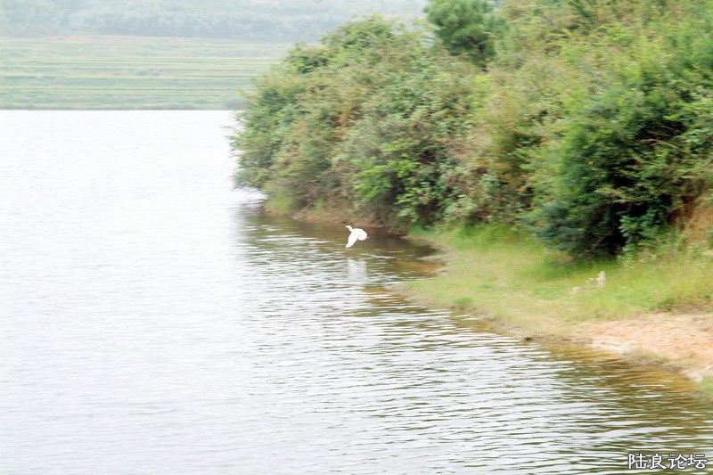 ������ˮ��