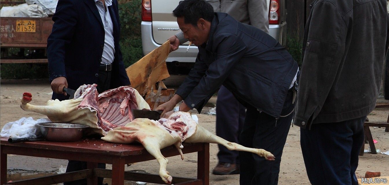 ������ (3).jpg