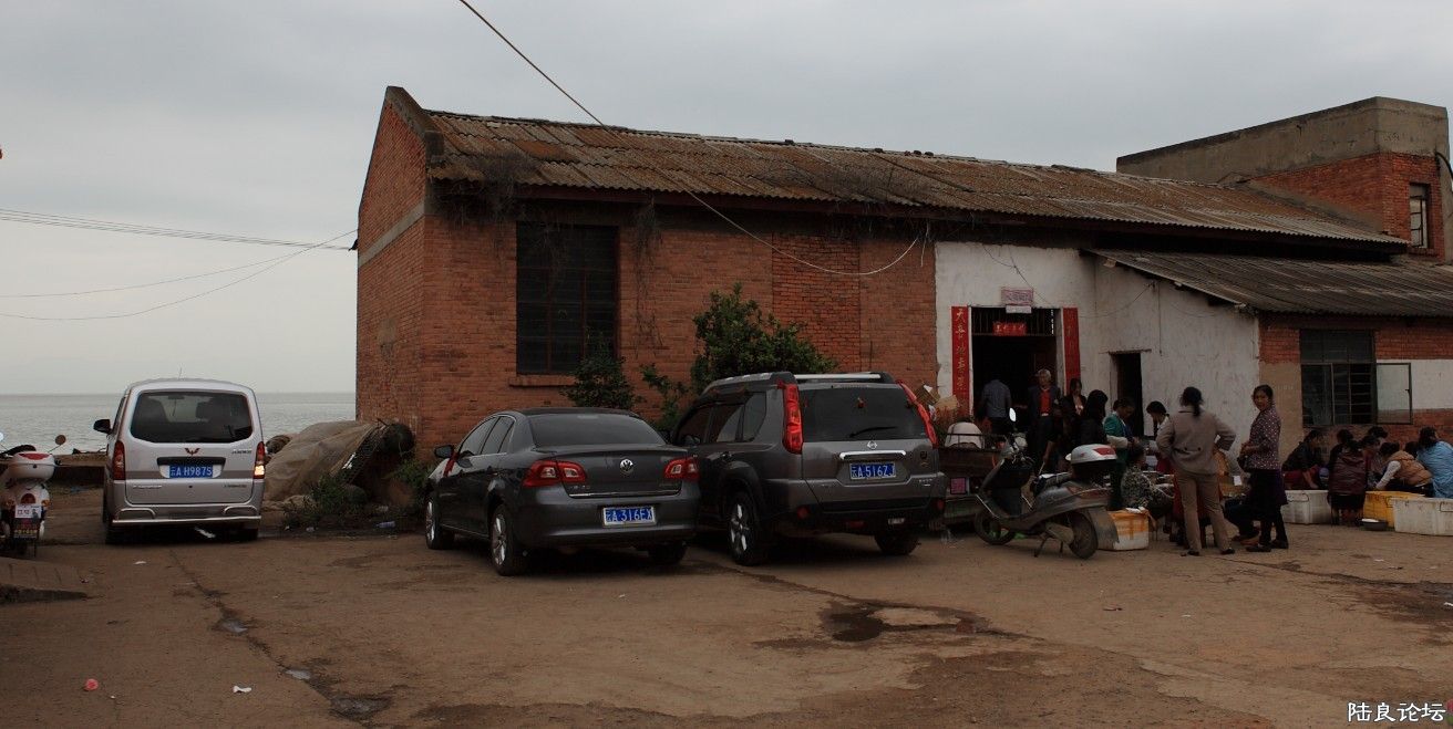 ������ (4).jpg