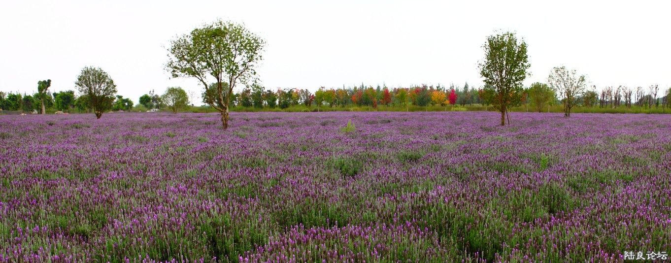 ������ (10).jpg