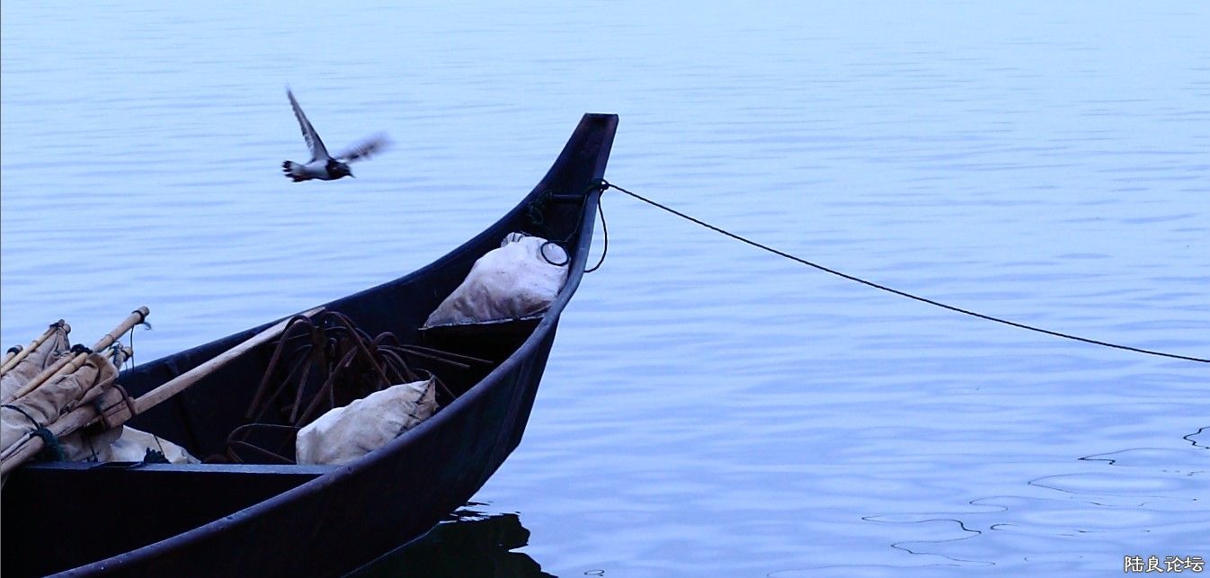 ������ (14).jpg