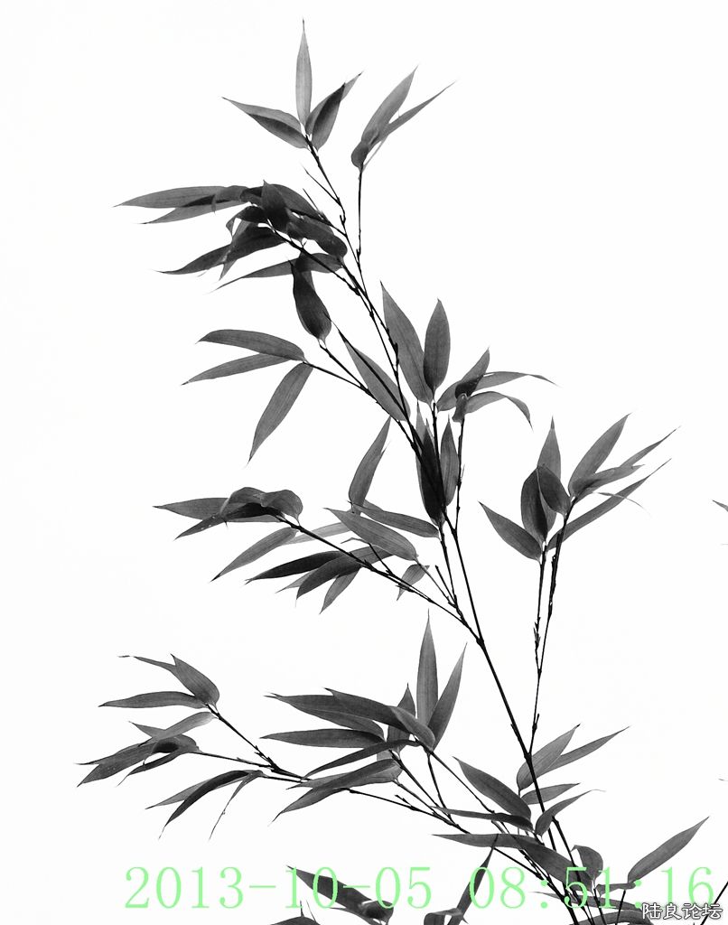 �簲��½���� (8).jpg