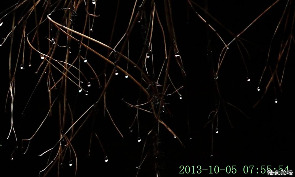 �簲��½���� (21).jpg