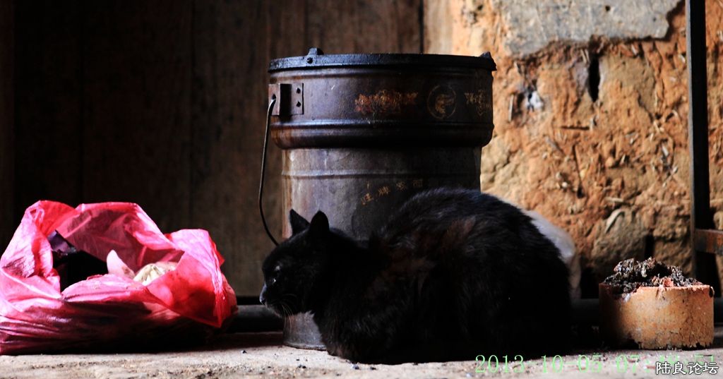 �簲��½���� (22).jpg