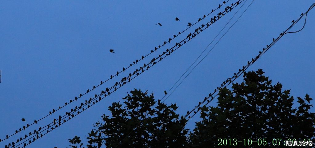 �簲��½���� (28).jpg