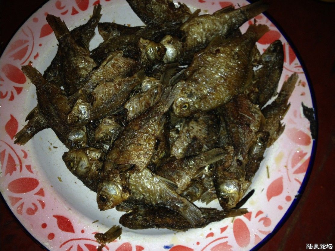 ʣ�ľ�ȫ����ը�ˣ��ճ�����̫����~