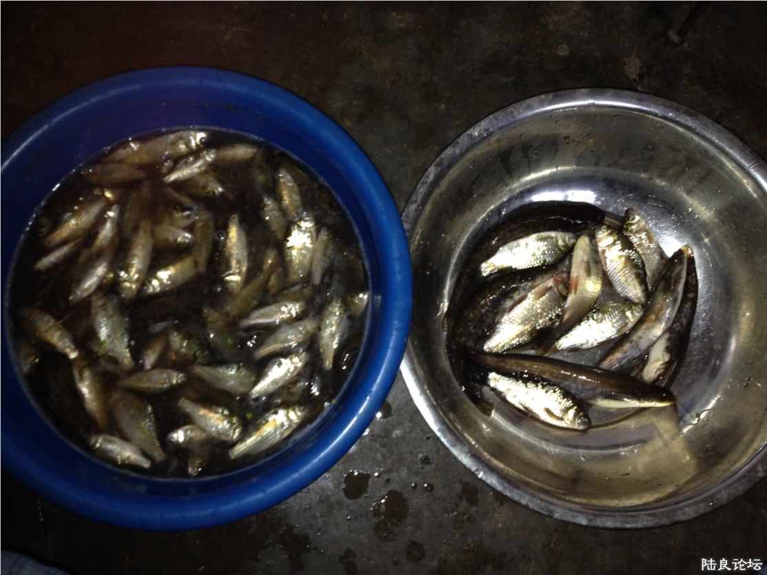 ����裬���ļ������������ϱ��Ӳ���˵һ��С������12����~