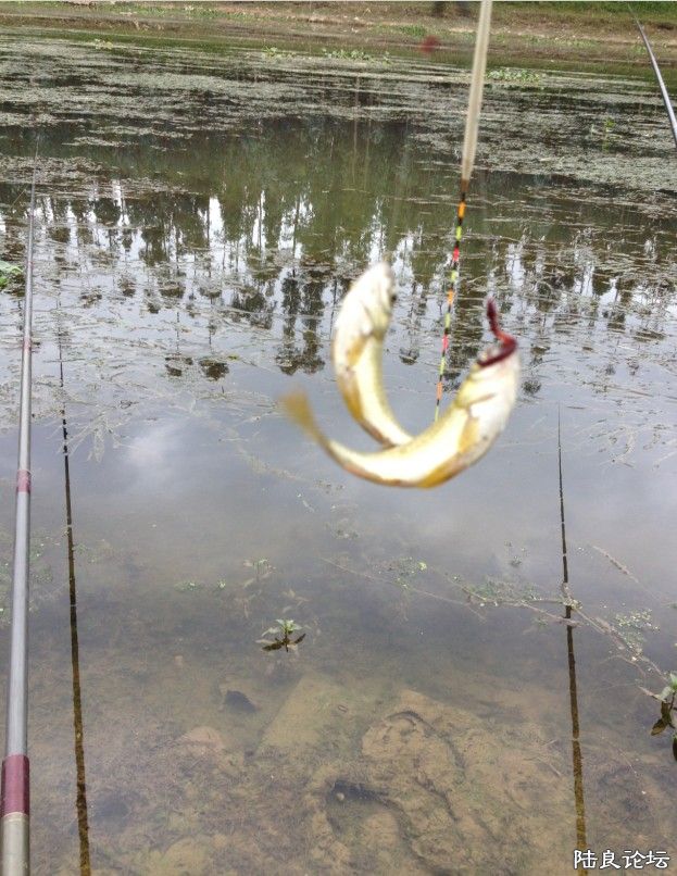 ���εΣ���Ҳ˫��һ��~