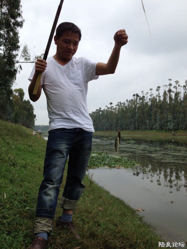 ����~��һ����˫����˫�ɣ������˸���~