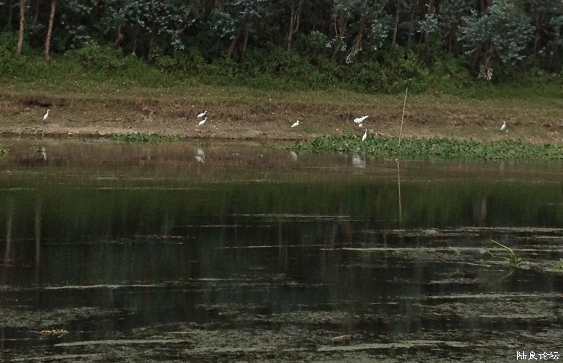 ���е�С�׼�~