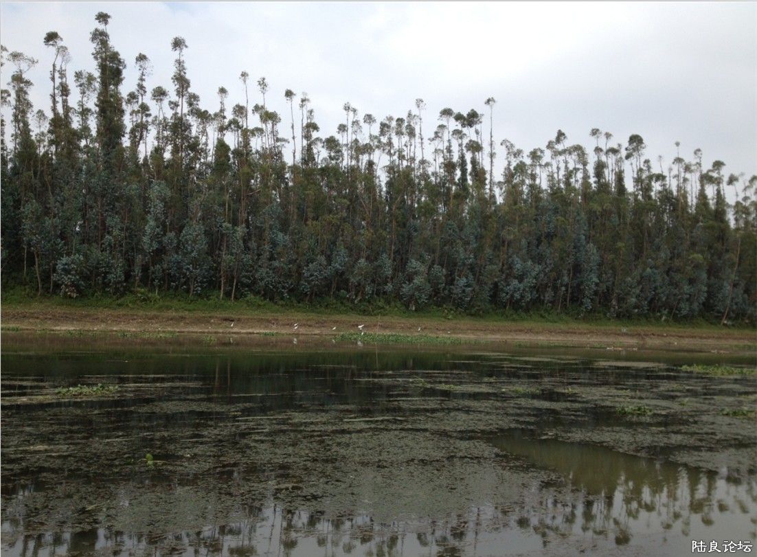 ���ƣ��޷磬ˮ����̫Ҫ���ˣ�������������㻹������~