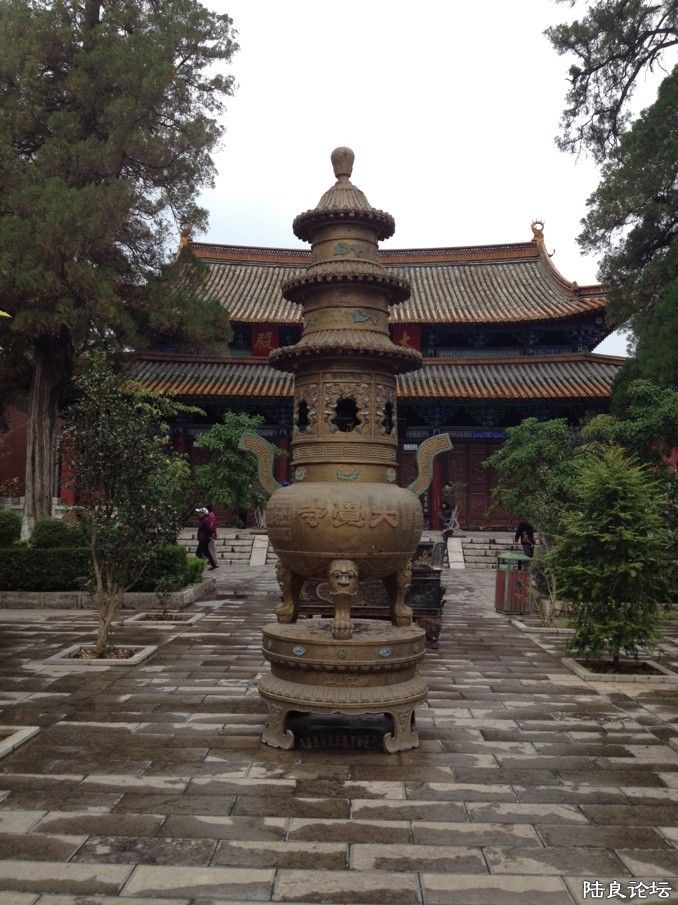 ��������ý�ૣ���������