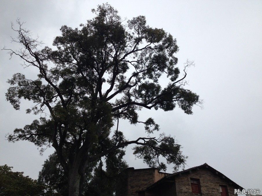 ����С��