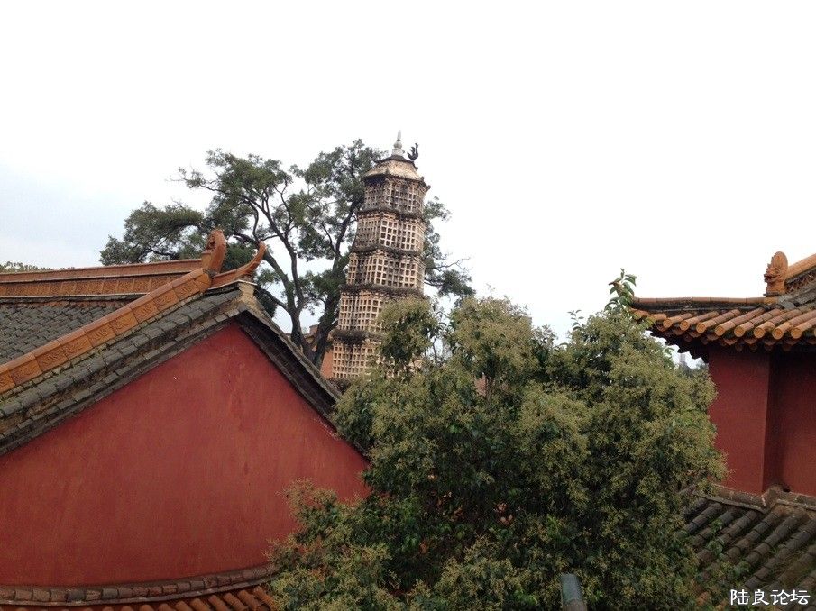 �������ҩ���������ĵ�