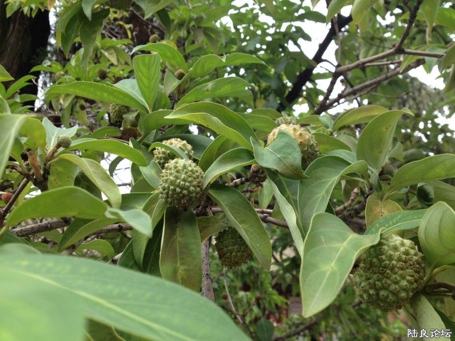 ��˵�𴦵Ķ������ˣ�����������͵ġ�