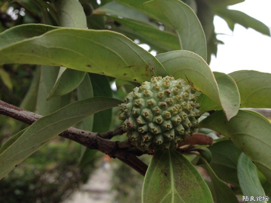 ������������ʲô��