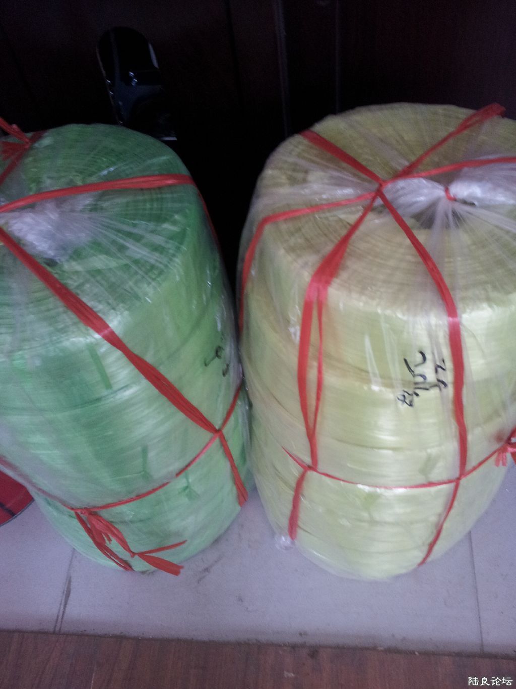 ˺��Ĥ����