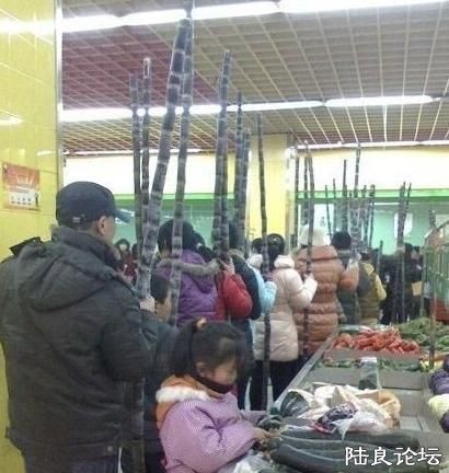 �����ؼۣ�Ū����ؤ�Ｏ��