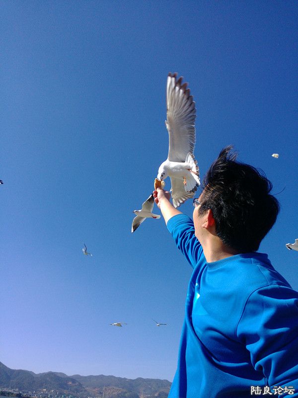 ���ĸ���Ҳ�����ԣ�