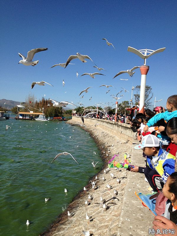 �����ֵ�~