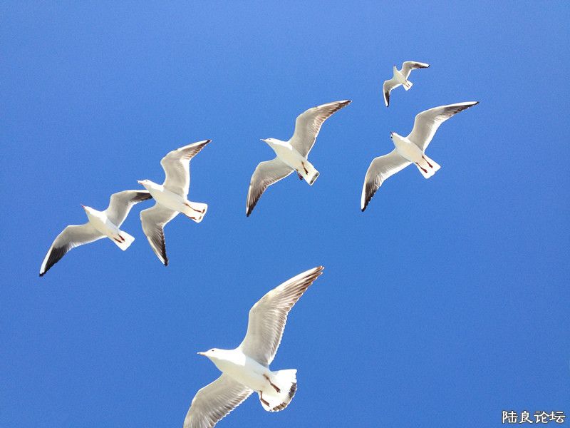 ��Ư����~