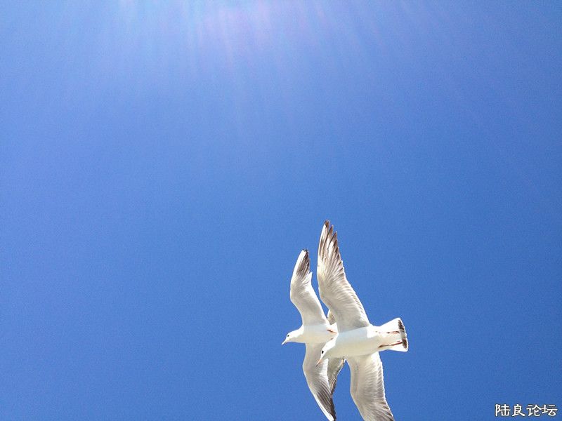 ����˫��~