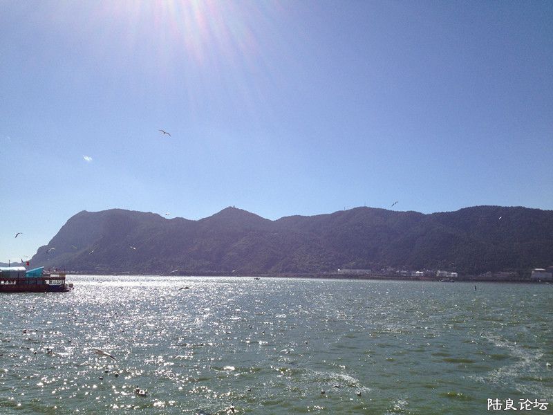 ���˯����Ӵ~