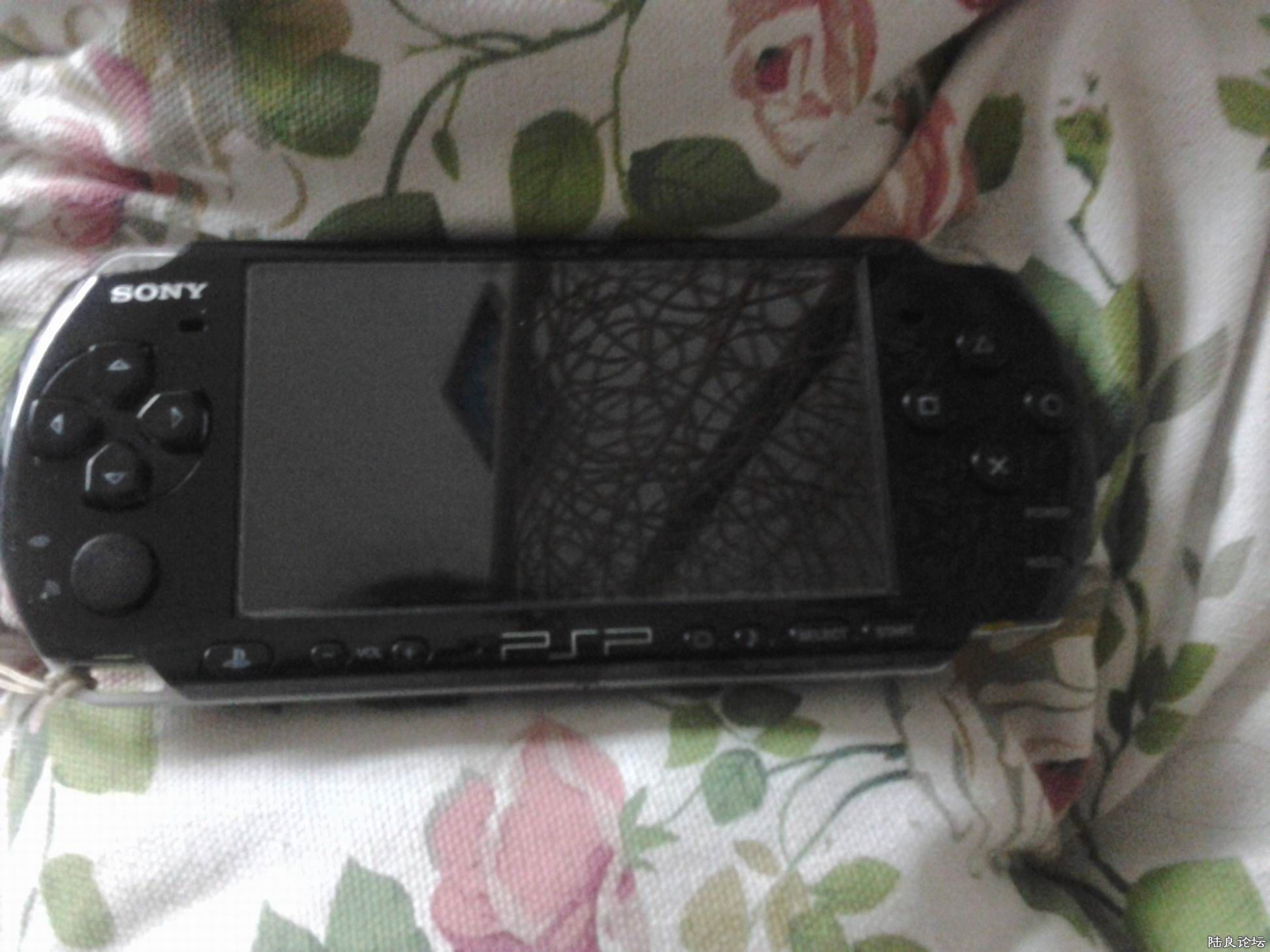 ����psp3000 ʵͼ