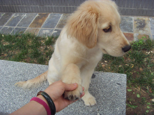 Сʱ����Ϊ1L�������ġ�