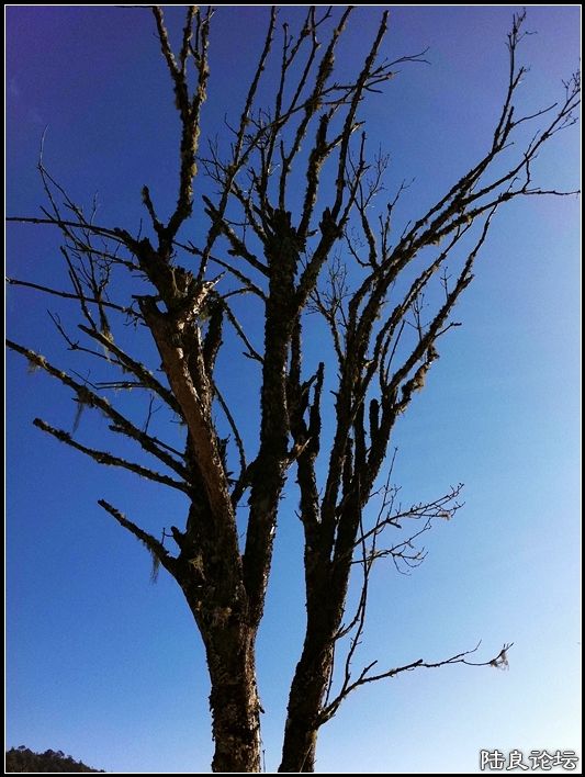 ��ȱҲ��һ����1 (2).JPG