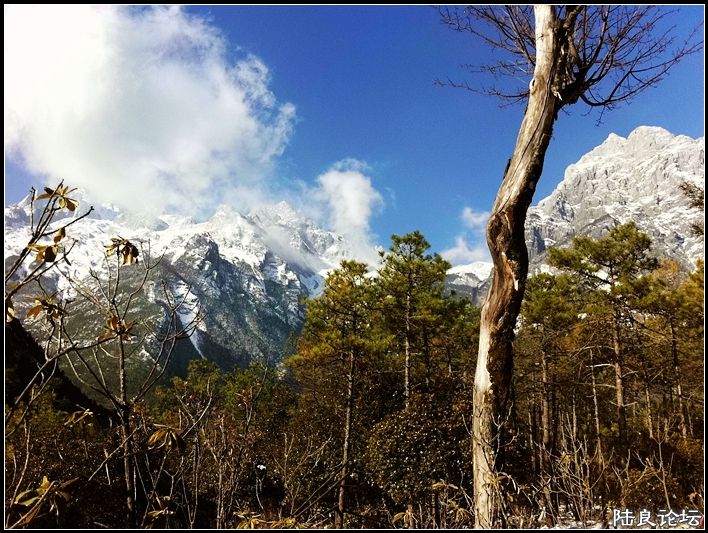 ��ȱҲ��һ����1 (3).JPG