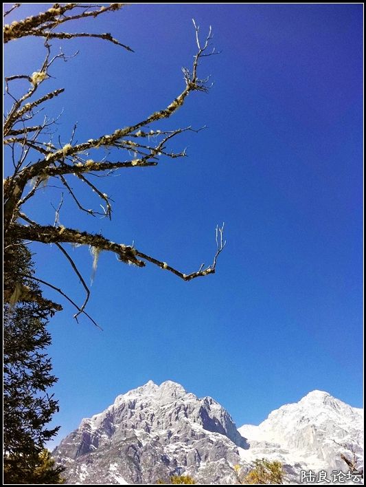 ��ȱҲ��һ����1 (7).JPG